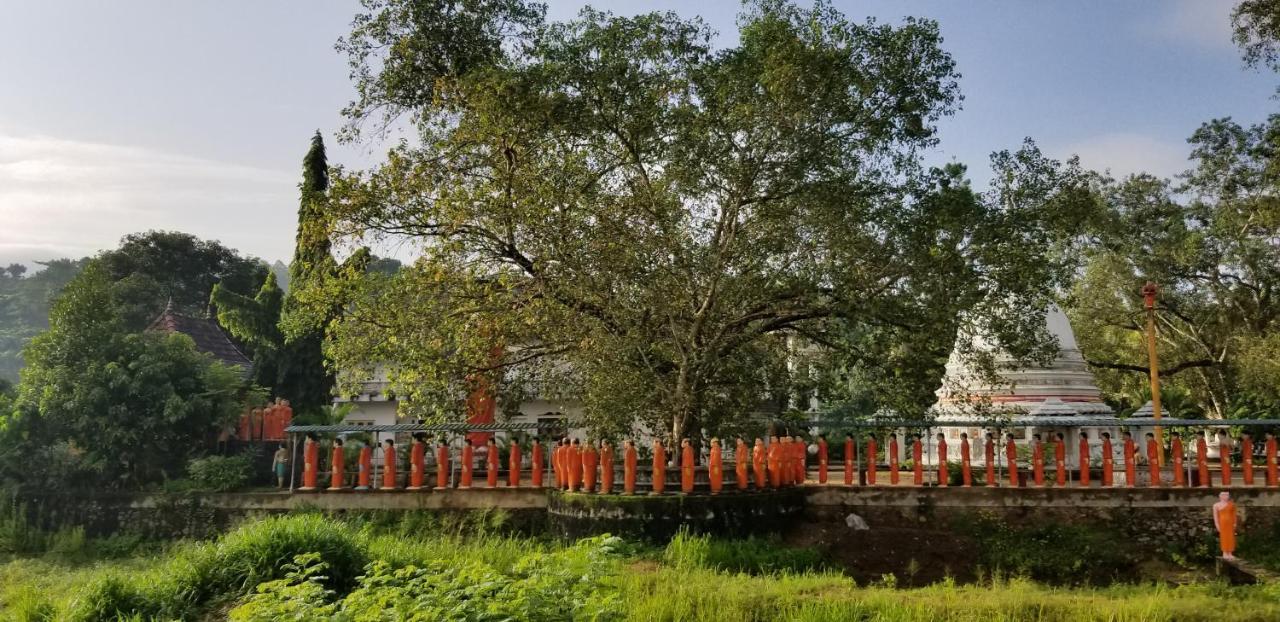 Che'S Villa Kandy Dış mekan fotoğraf