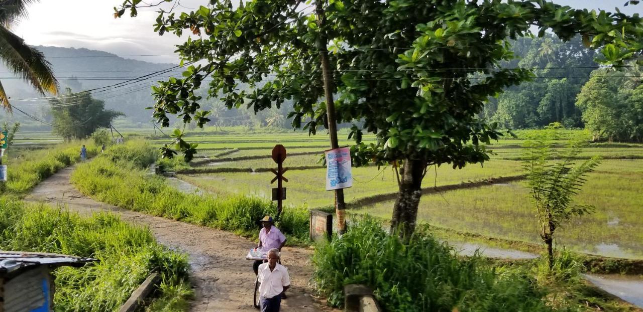 Che'S Villa Kandy Dış mekan fotoğraf